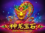 Shen Long Bao Shi