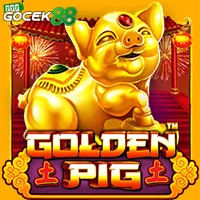 Golden Pig